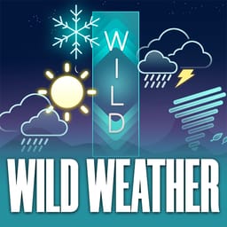 Wild Weather image