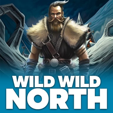 Wild Wild North image