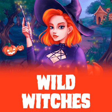 Wild Witches image