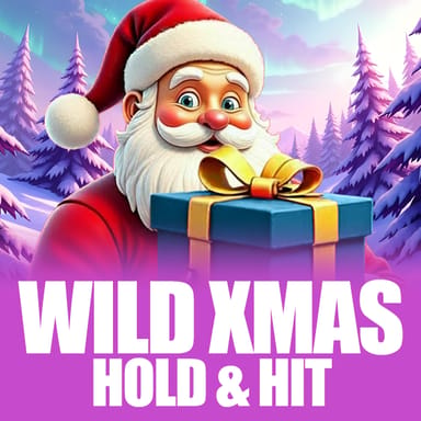 Wild Xmas - Hold & Hit image