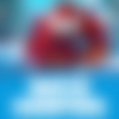 Winter Champions image