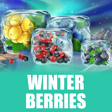 Winterberries image