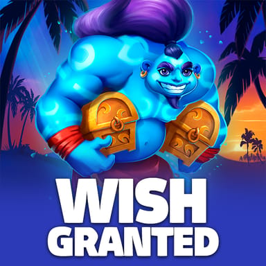 Wish Granted image