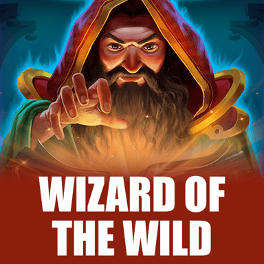 Wizard of the Wild image