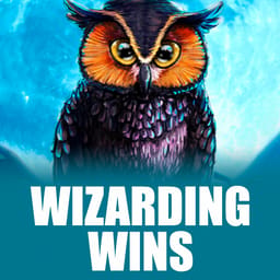 Wizarding Wins image