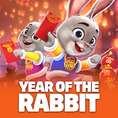 Year of the Rabbit image