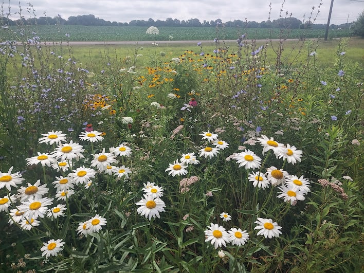 The Beginning: February 08 2025