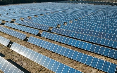 mBank and Bank Millennium Back Virya Energy's 135 MWp Żabice Solar Farm in Poland