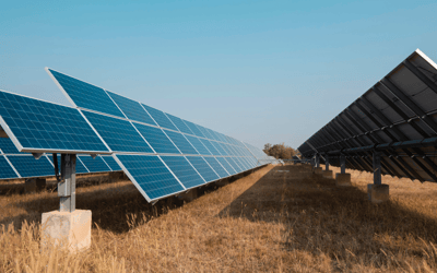 Vikram Solar Secures 187 MW N-Type TOPCon Module Supply Deal for Three Projects in Karnataka and Tamil Nadu, India