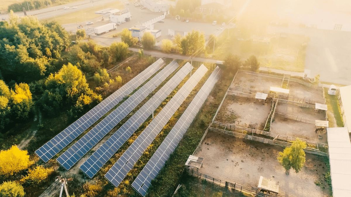 Coal India Secures 975 MW at $0.0359/kWh in Rajasthan’s 2.45 GW Pugal Solar-BESS Tender