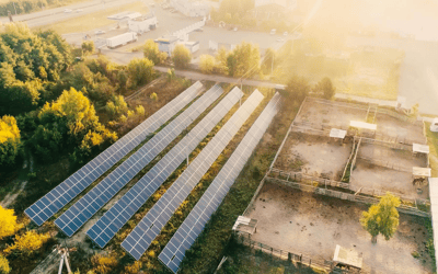 Coal India Secures 975 MW at $0.0359/kWh in Rajasthan’s 2.45 GW Pugal Solar-BESS Tender