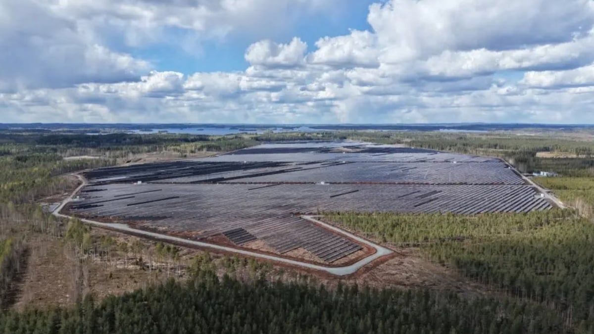 Taaleri Energia Opens 129 MWp Hallanvahti Solar Park in Finland