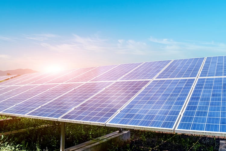 Macquarie's Blueleaf Energy Secures Microsoft PPAs for Two Japan Solar Projects
