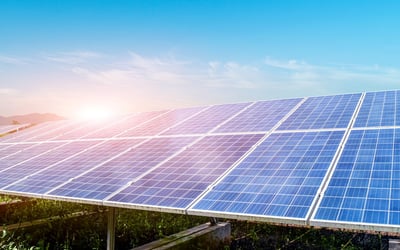 Macquarie's Blueleaf Energy Secures Microsoft PPAs for Two Japan Solar Projects