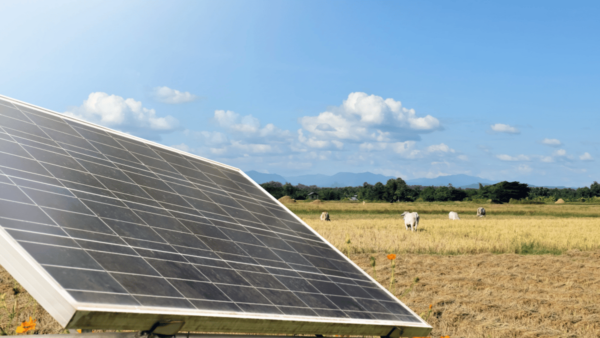 Drove Lane Solar Farm Secures Planning Approval for 49.99 MW Project Near Wawne in Yorkshire, UK