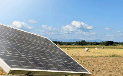 Drove Lane Solar Farm Secures Planning Approval for 49.99 MW Project Near Wawne in Yorkshire, UK