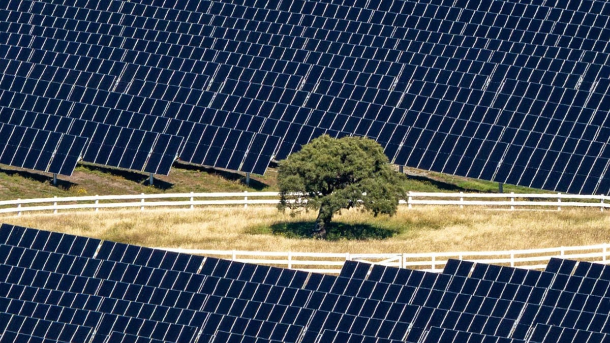 Contact Energy and Lightsource bp Commission 150 MW Kōwhai Park Solar Farm at Christchurch Airport