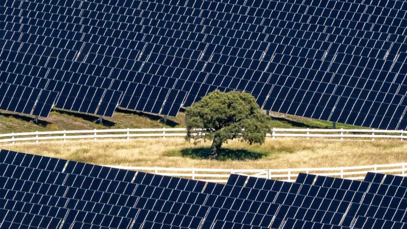 Contact Energy and Lightsource bp Commission 150 MW Kōwhai Park Solar Farm at Christchurch Airport