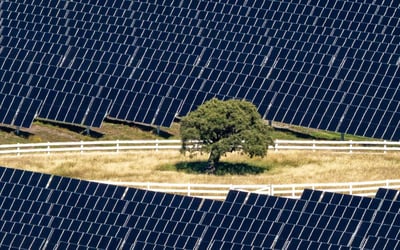 Contact Energy and Lightsource bp Commission 150 MW Kōwhai Park Solar Farm at Christchurch Airport