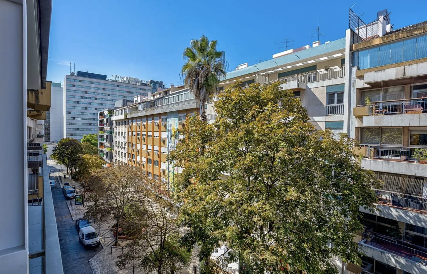 PLAZA VIEW  — foto 4