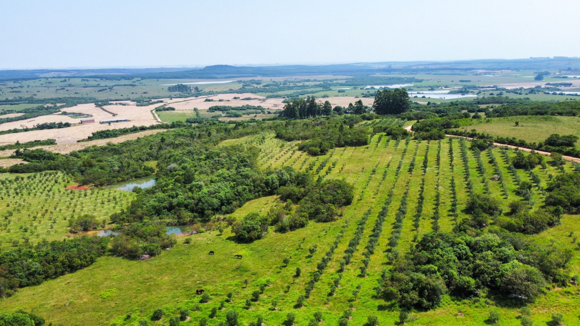 Fazenda em Encruzilhada do Sul com 44,4ha - Foto 22