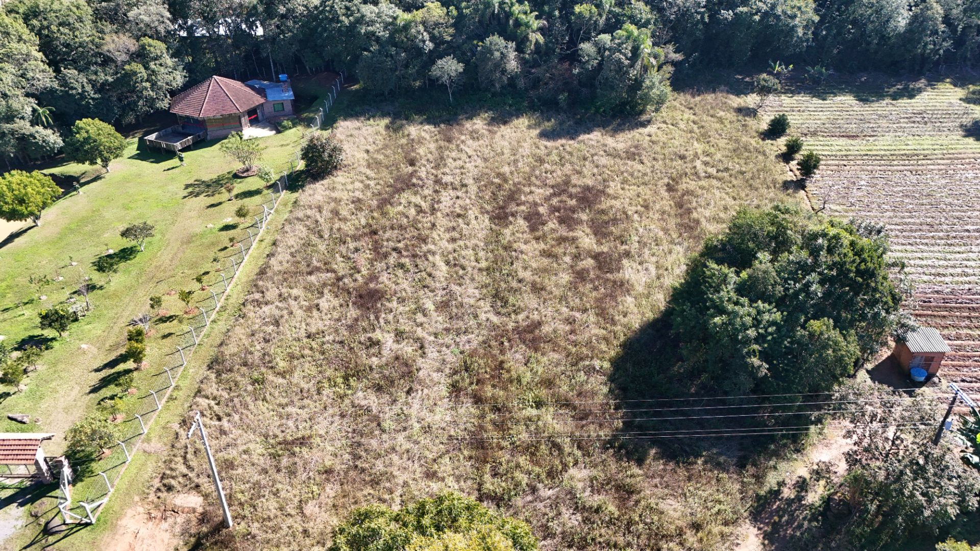 Terreno na Travessa Dona Leopoldina - Foto 4