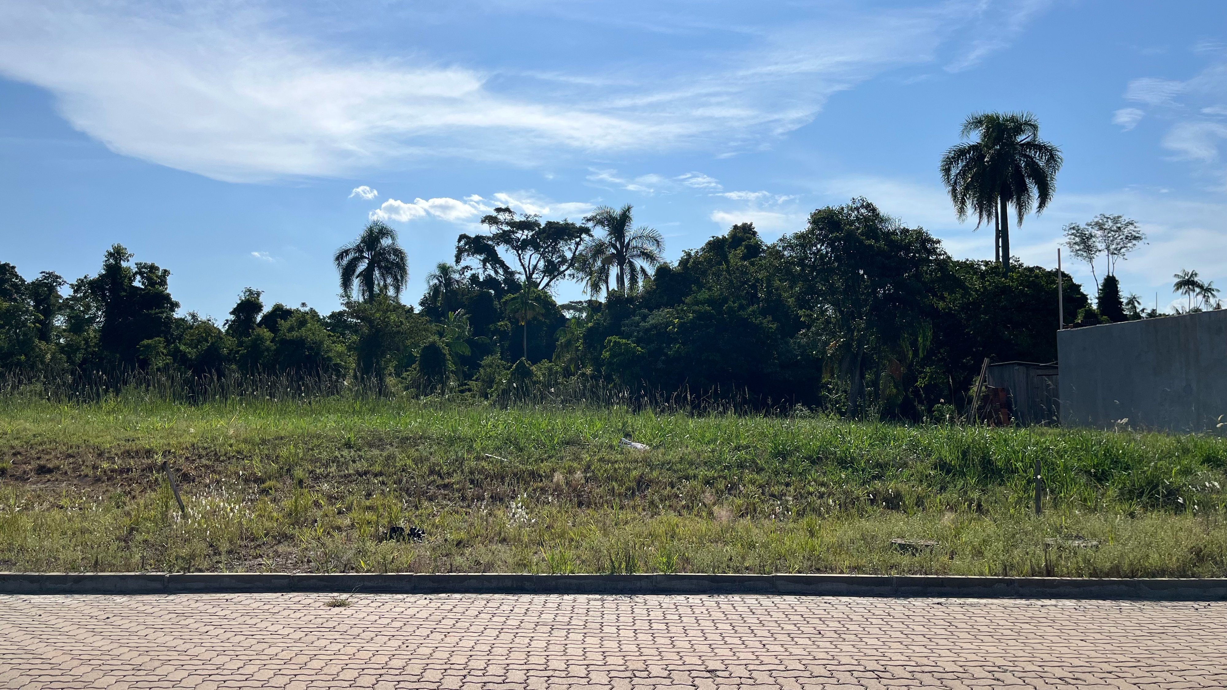 Terreno no Loteamento Parque das Palmeiras com 300 m² - Foto 9