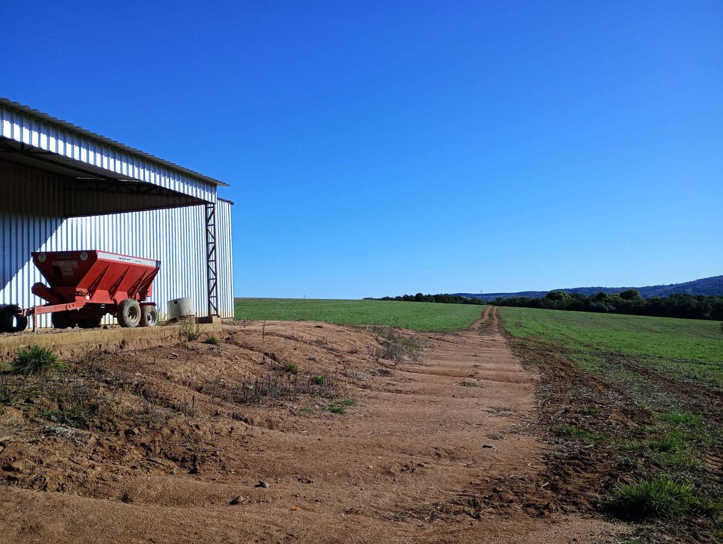 187 hectares - Arroio dos Ratos - Foto 15