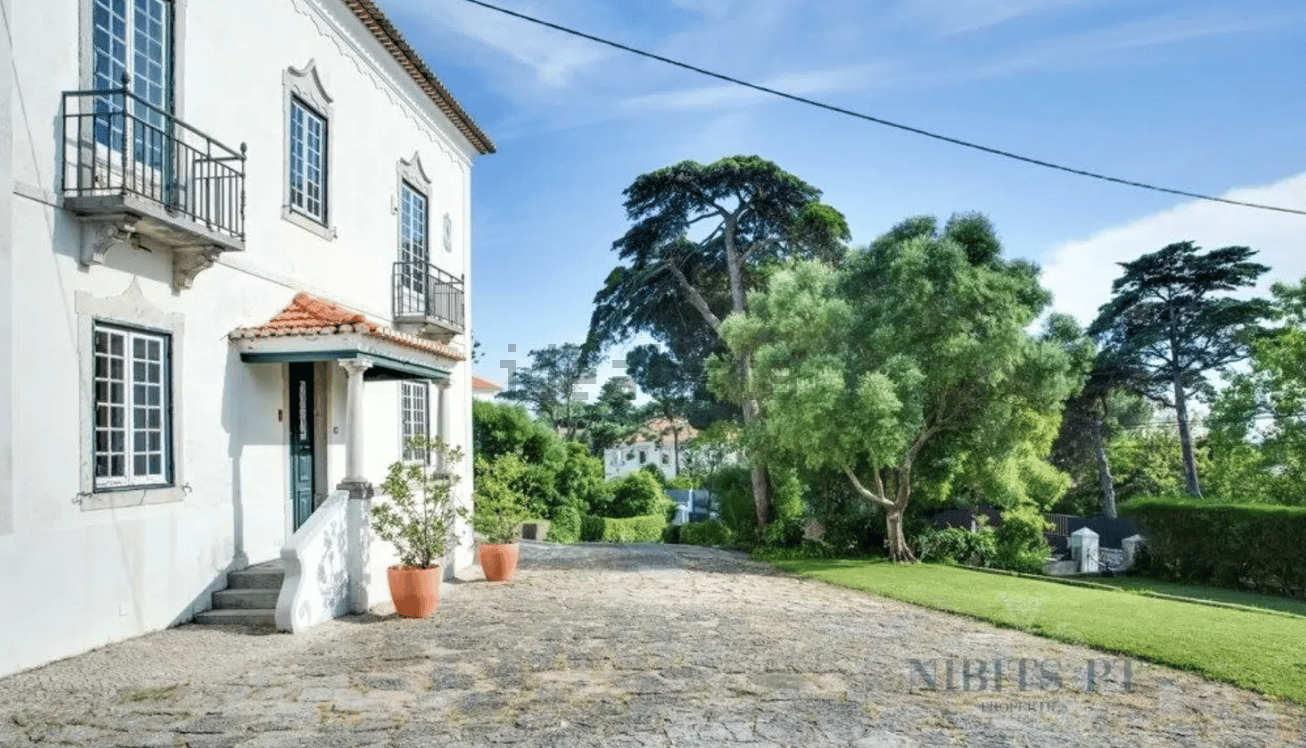 PROPRIEDADE - 34404667 — foto 7