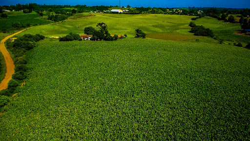 Fazenda em Rio Pardo 83ha