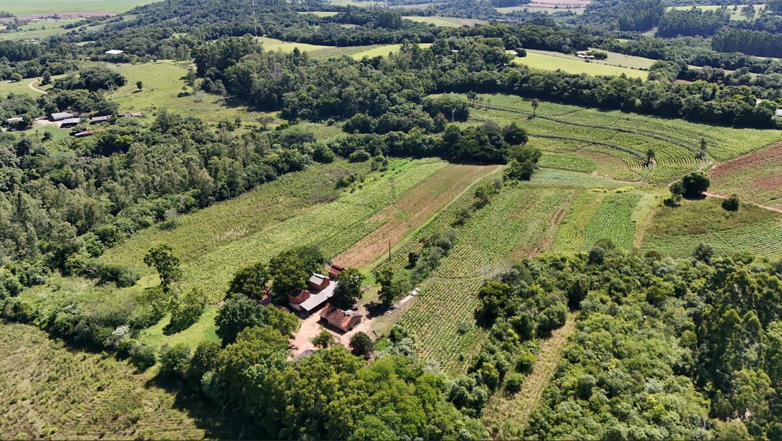 Área no Rincão del Rei - 50 hectares - Foto 4