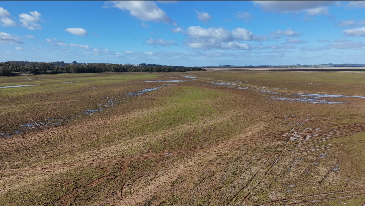 530 Hectares - Cachoeira do Sul - Foto 15