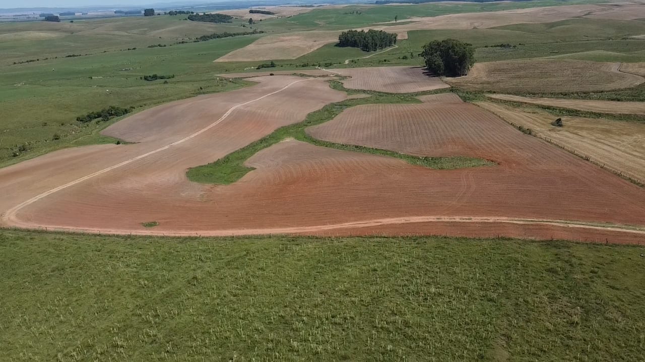 120 hectares - Rio Pardo - Foto 5