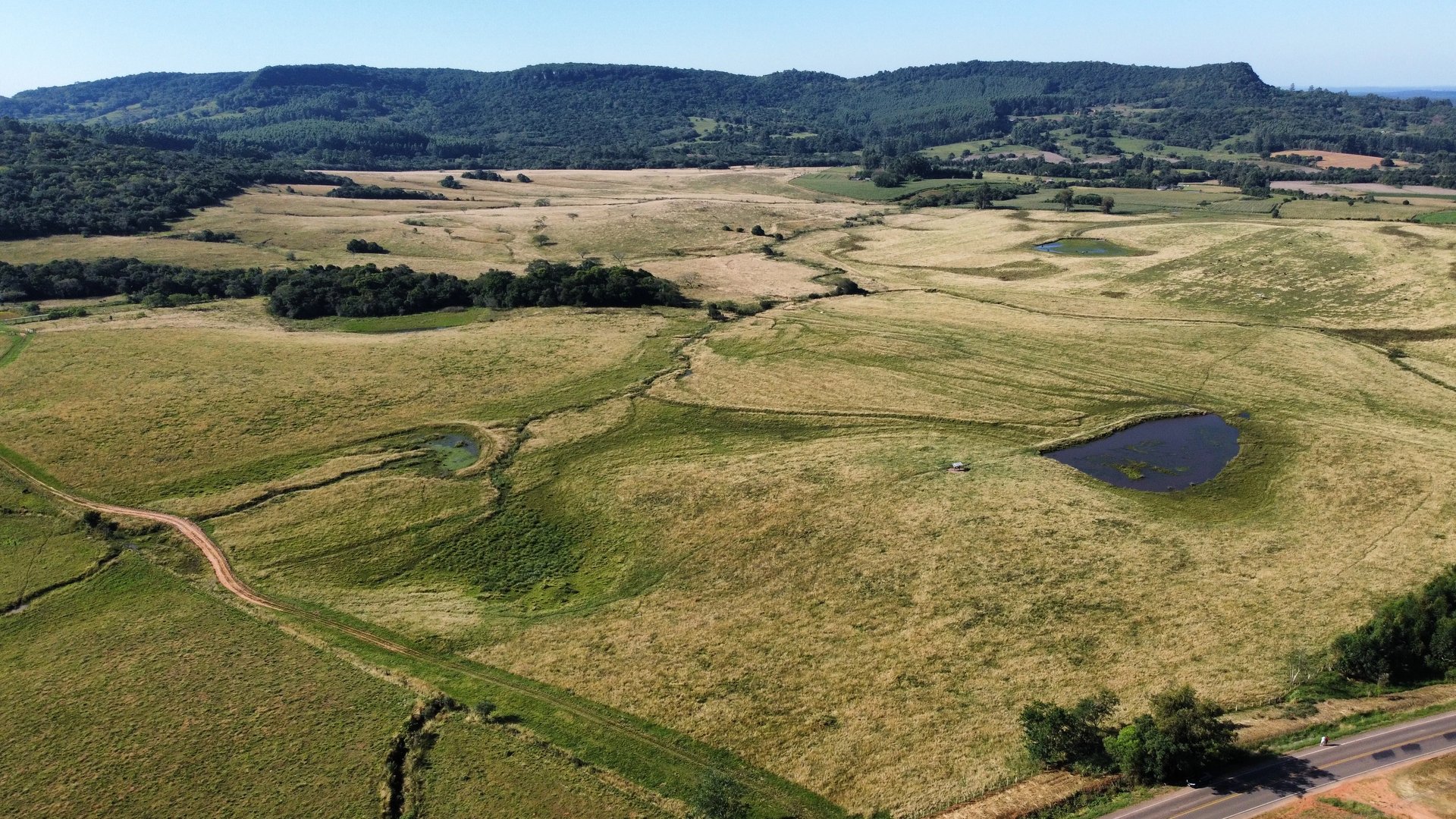 234 hectares - Vale Verde  - Beira de Asfalto - Foto 3