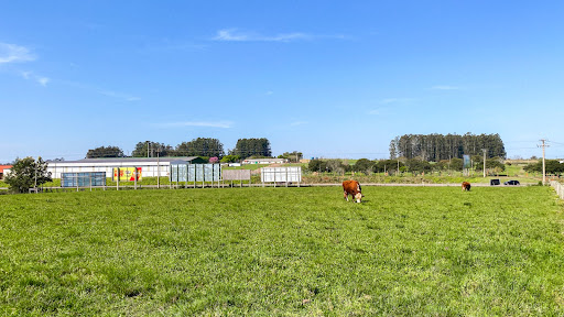 Chácara no Rincão Del Rei com 4 dormitórios - Foto 9