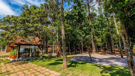 Apartamento Edifício Ametista - Prédio 3902 - Foto 12