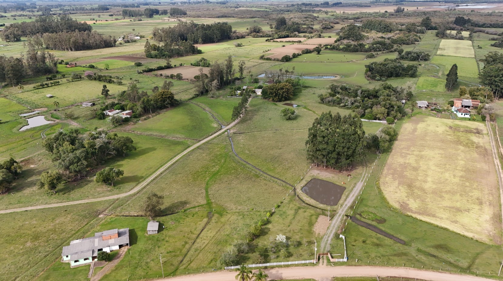 37 hectares - Vera Cruz - Foto 4