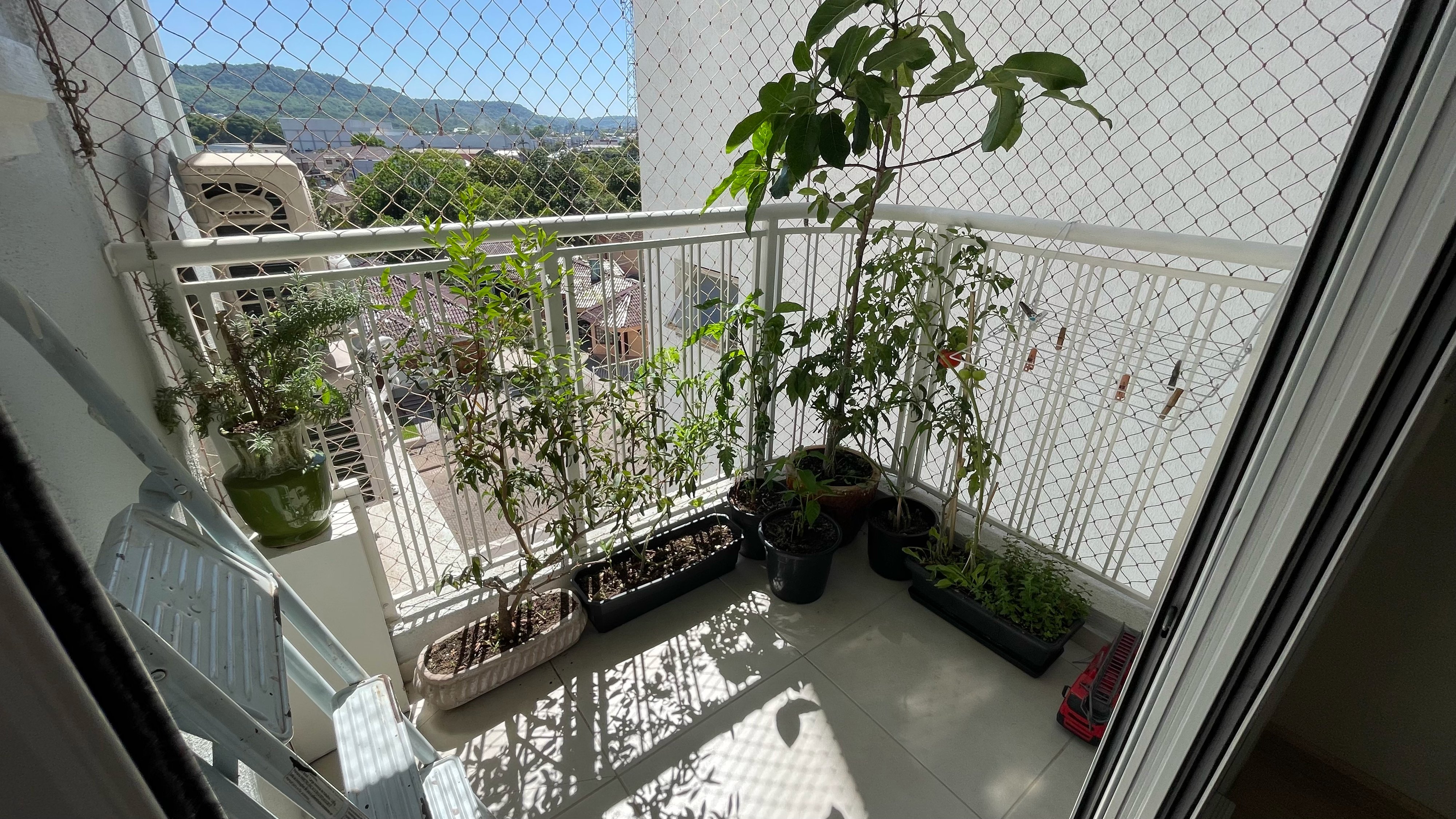 Ótimo Apartamento no Arroio Grande com 2 dormitórios - Foto 6
