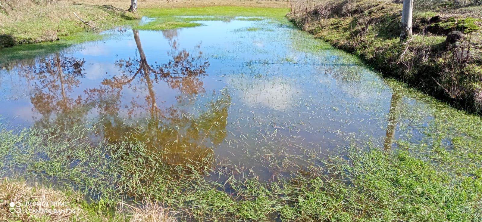 2 hectares - Capão da Cruz - Foto 5