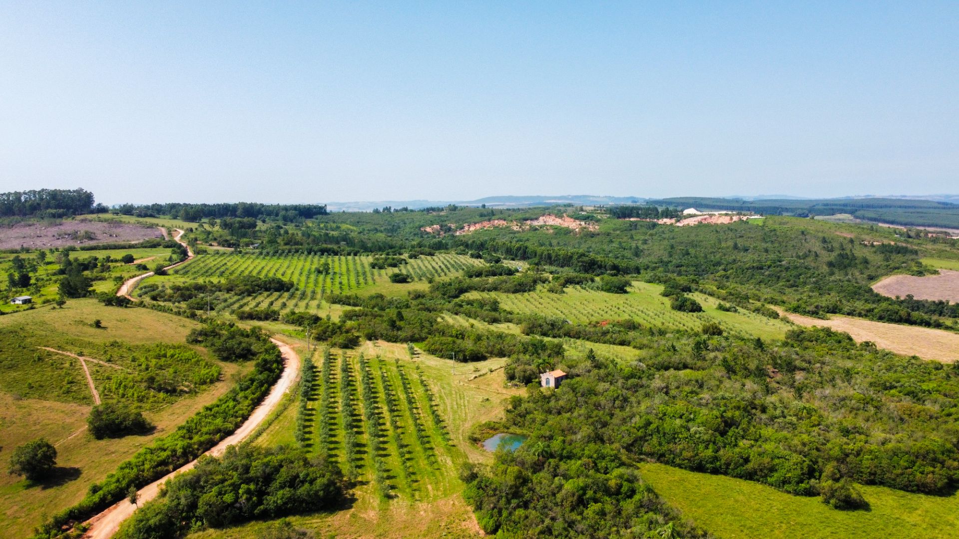 Fazenda em Encruzilhada do Sul com 44,4ha - Foto 14