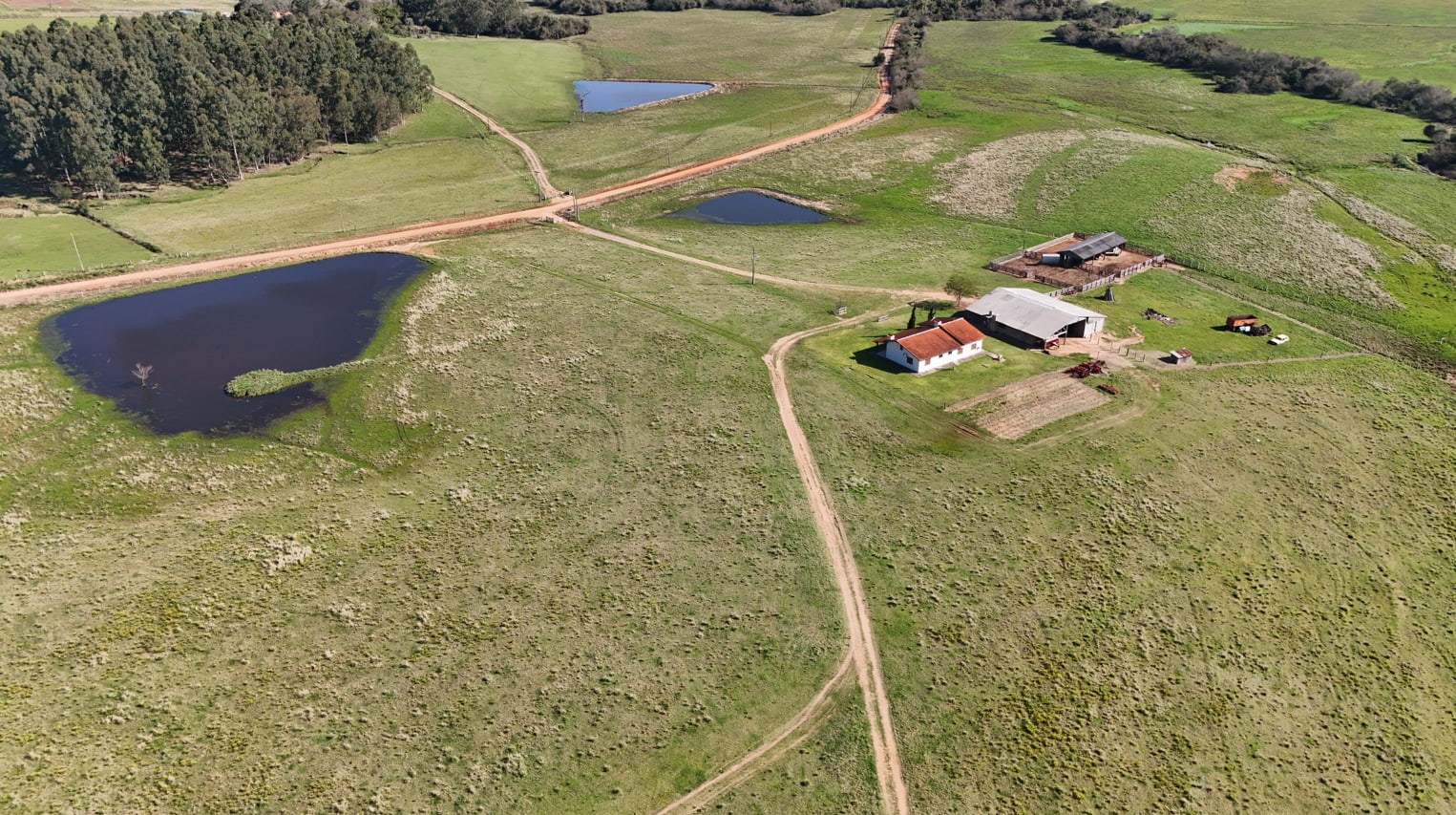 203 hectares - Vale Verde - Foto 11