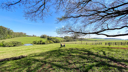 Chácara no Rincão Del Rei com 4 dormitórios - Foto 4