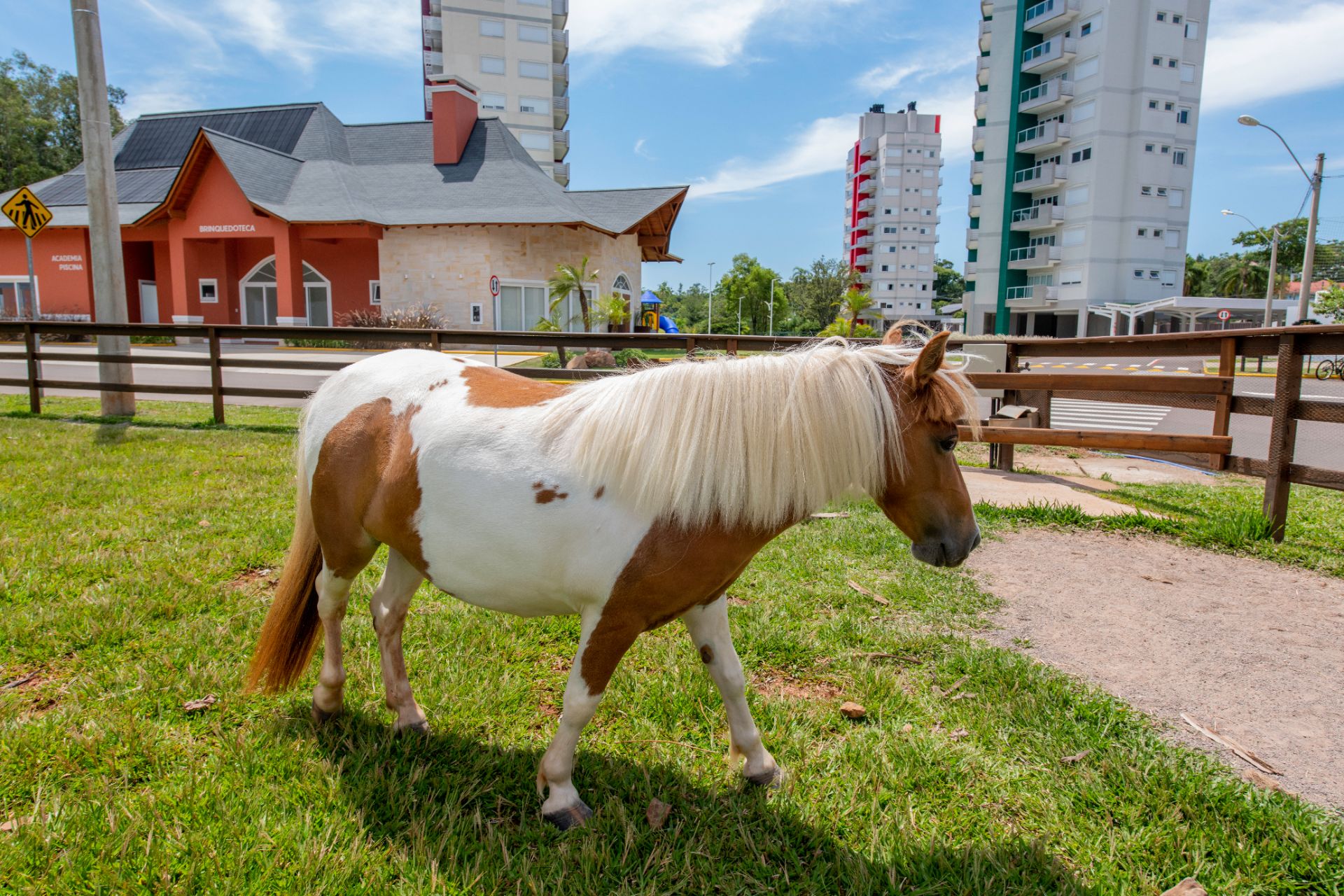 Terreno no Condomínio Parque Europa com 3353 m² - Foto 51