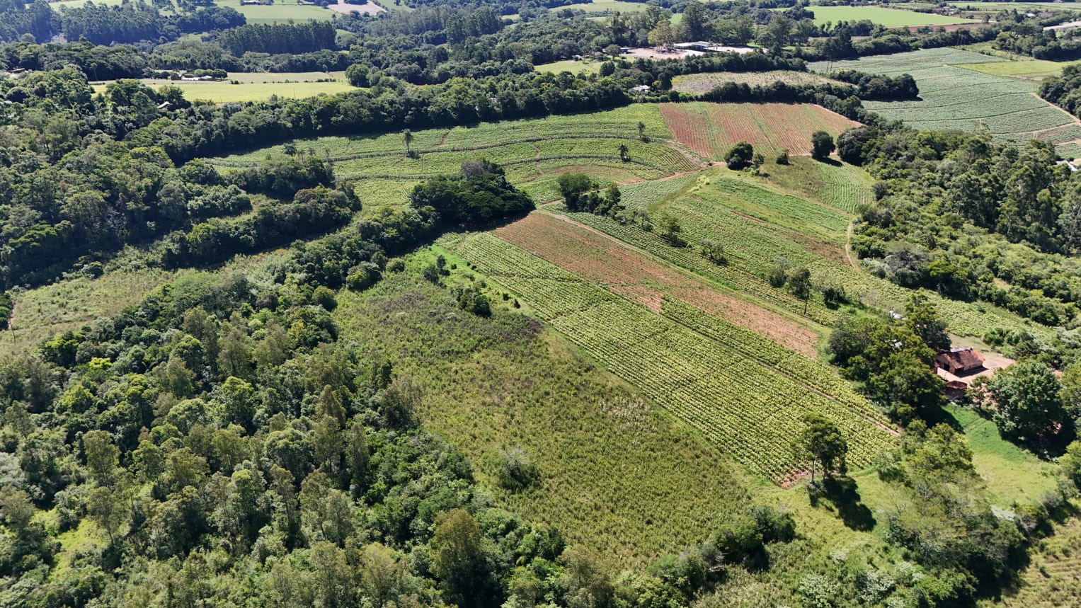 Área no Rincão del Rei - 50 hectares - Foto 7