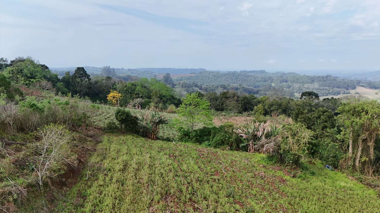 Área Boa Vista - 2.000m² - Foto 6