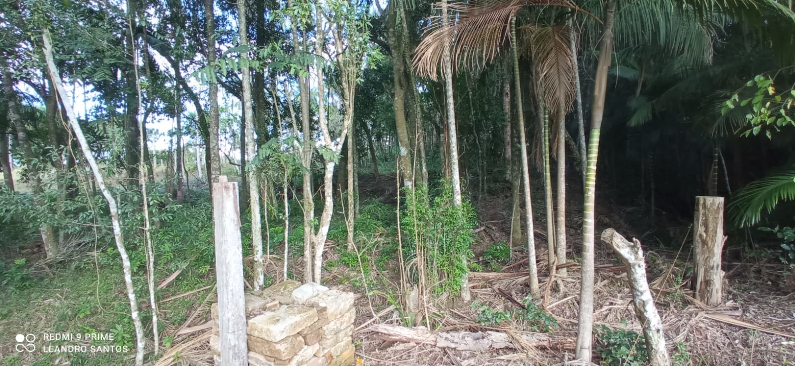 2 hectares - Linha Pinheiral  - Foto 6