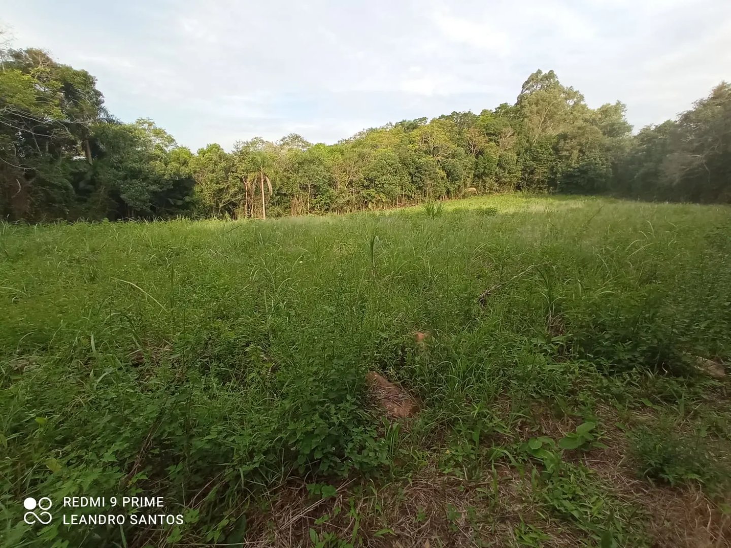 5,5 hectares - Cerro Alegre Alto