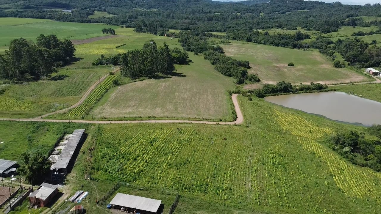 58 hectares - Passo do Sobrado - Foto 8