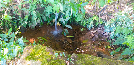 Bela Chácara em Monte Alverne com 12,6ha - Foto 28