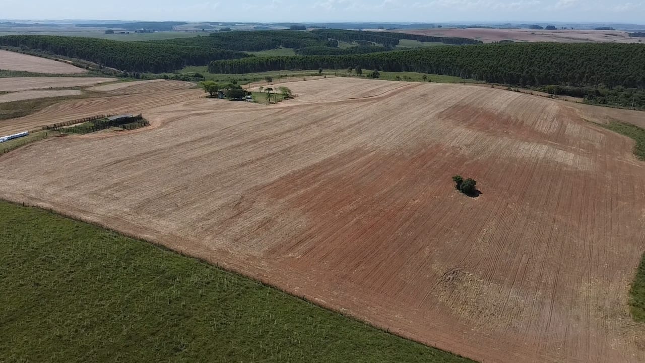 120 hectares - Rio Pardo - Foto 4